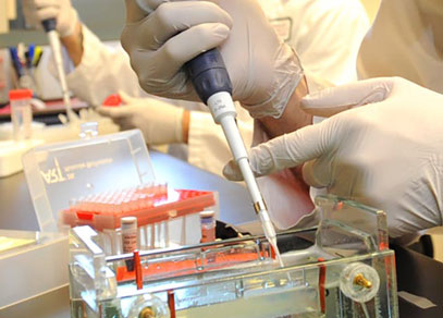 Pathology & Microbiology